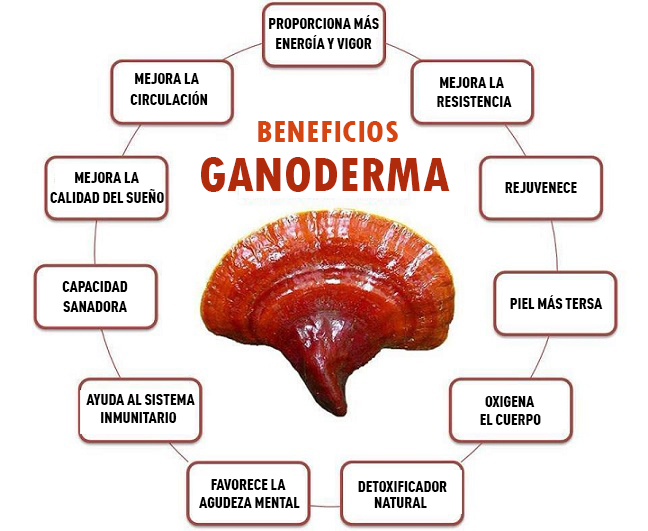 GanodermaBeneficios