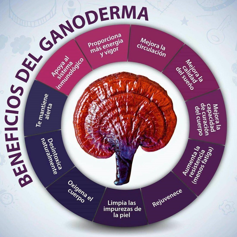 beneficiosDelGanoderma