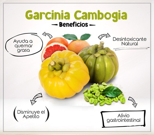 garciniacamboia4